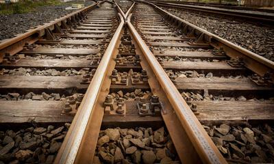 spoor